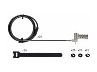 StarTech.com 25-Pack Laptop Lock, Compatible w/Noble Wedge/Nano/K-Slot - Sikkerhetskabellås - svart, sølv - 2 m - TAA-samsvar (en pakke 25) UNIVCS25-LAPTOP-LOCK