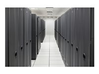 HPE SimpliVity 325 Gen11 - License To Use (LTU) - low - 1 prosessor S6D38AAE