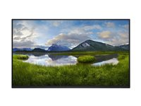 Dell P2425H - LED-skjerm - Full HD (1080p) - 24" DELL-P2425HHF