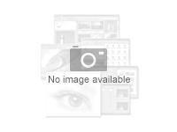 Absolute Control - Term License (5 år) - mengde - 1 - 249 lisenser 4L41M24433