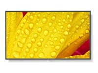 NEC MultiSync M501-2 - 50" Diagonalklasse (49.5" synlig) - M Series LED-bakgrunnsbelyst LCD-skjerm - intelligent skilting - med innebygd mediespiller / valgfri PC-funksjonalitet med spor - 4K UHD (2160p) 3840 x 2160 - HDR - direktebelyst LED - pantone 426M 60006084